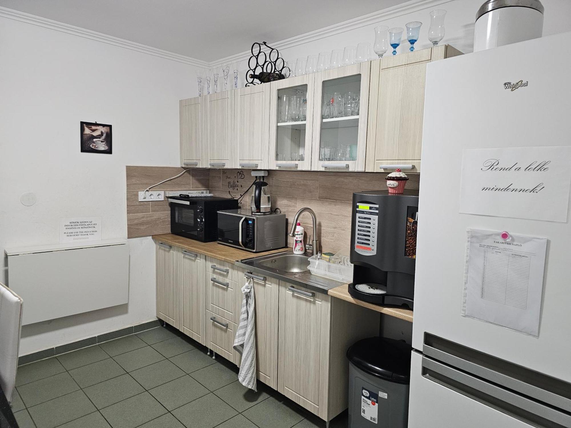 Borostyan Panzio Bed & Breakfast Debrecen Exterior photo